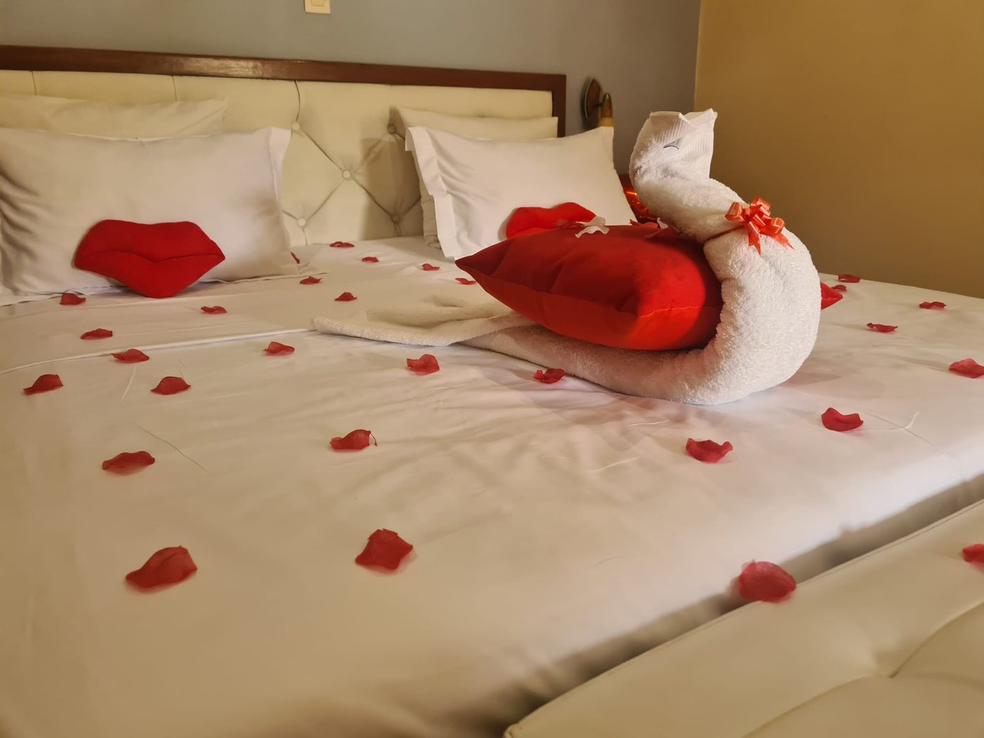 Attention romantique en chambre, Ophelia Lodge
